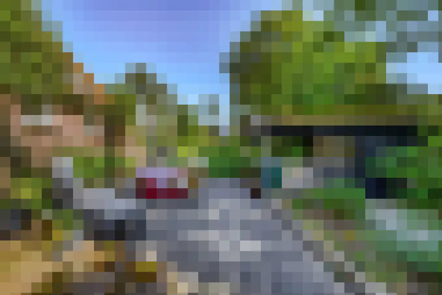Westdijk 21 Nieuwe-Tonge thumbnail 35