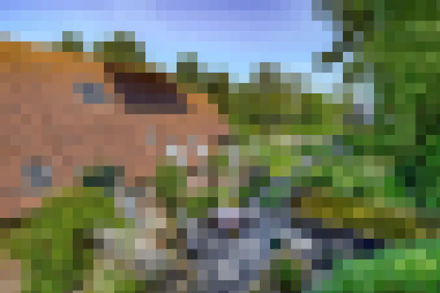 Westdijk 21 Nieuwe-Tonge thumbnail 36
