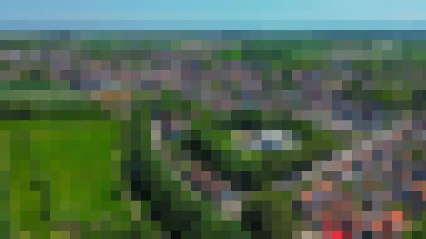 Westdijk 21 Nieuwe-Tonge thumbnail 38