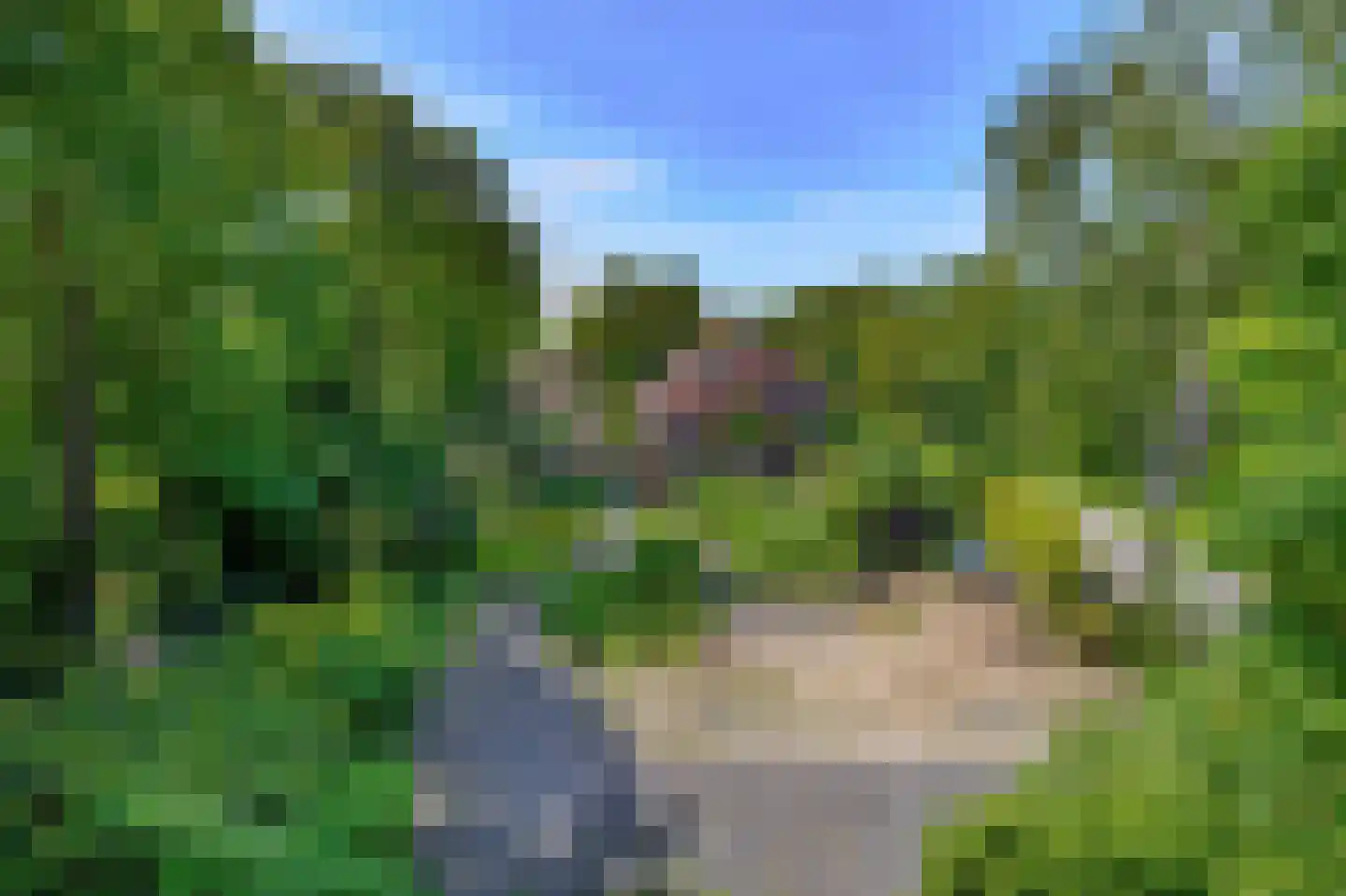 Westdijk 21 Nieuwe-Tonge thumbnail 6
