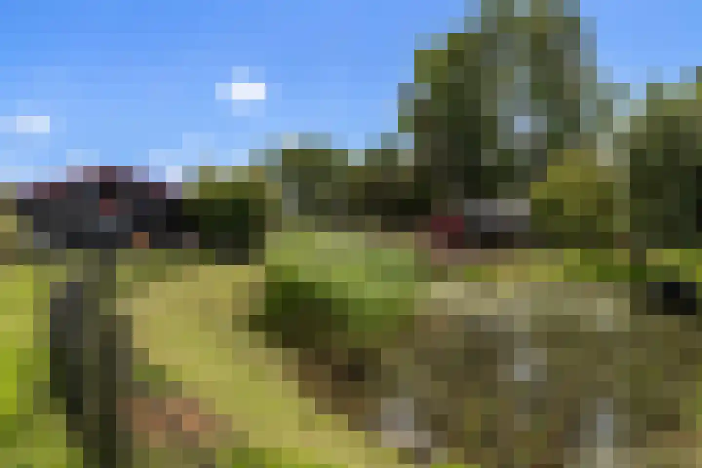 Westdijk 22 Zuidschermer thumbnail 34