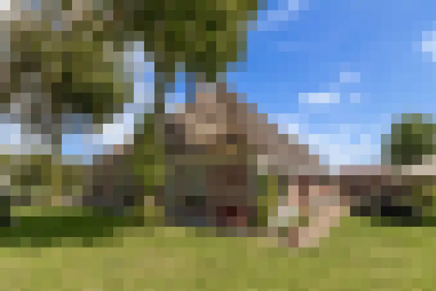 Westdijk 22 Zuidschermer thumbnail 4