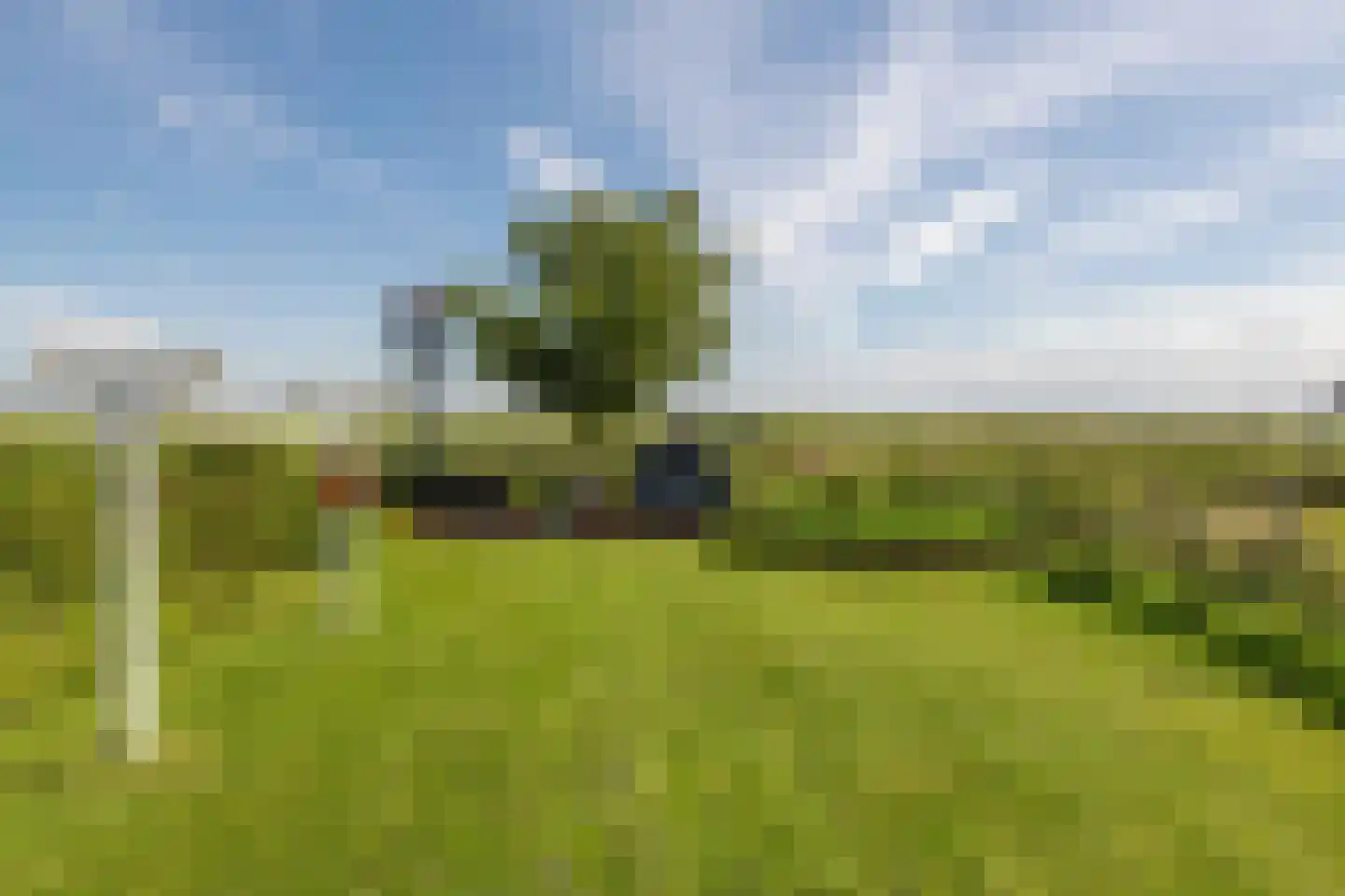 Westdijk 22 Zuidschermer thumbnail 52