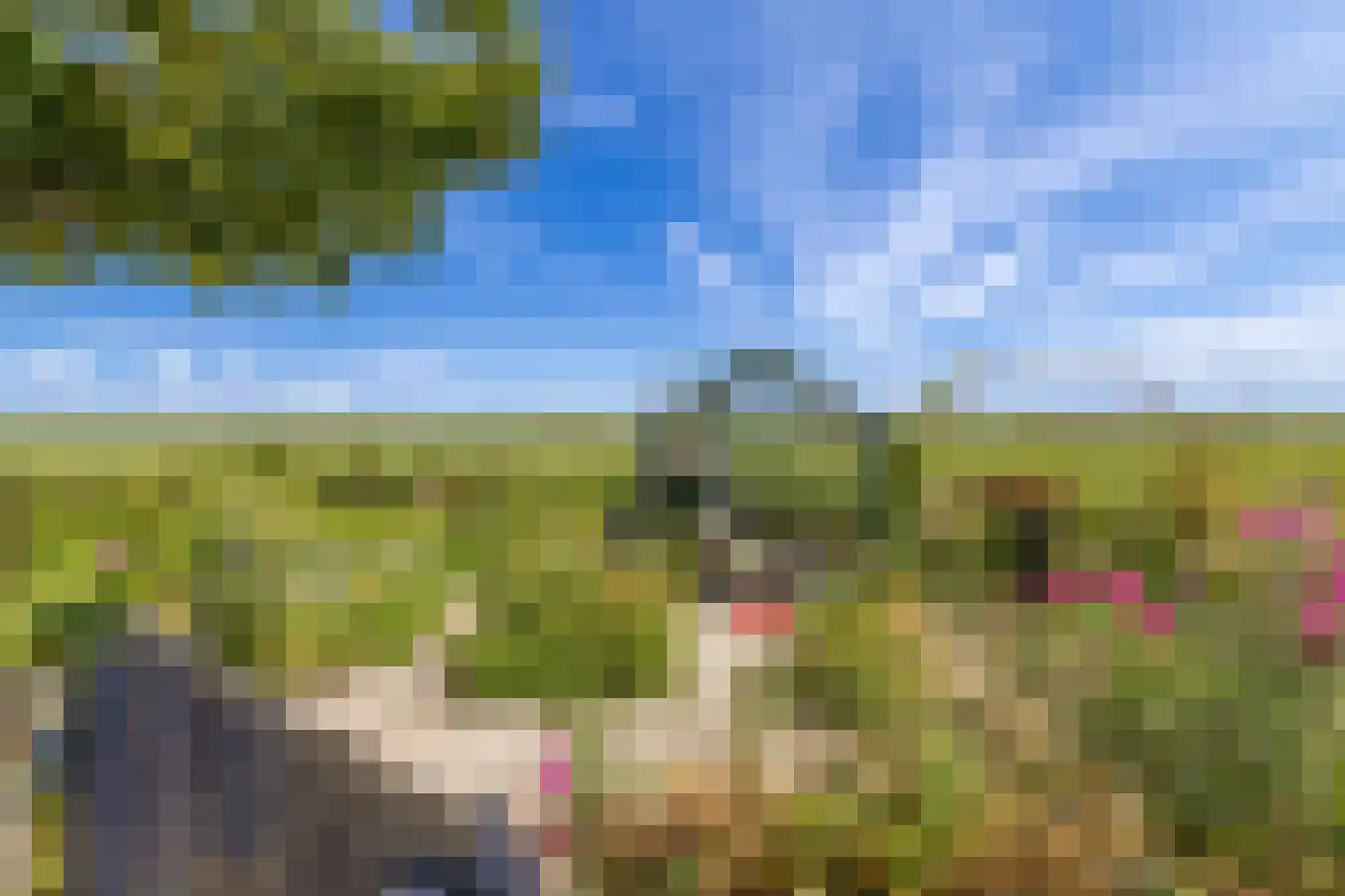 Westdijk 22 Zuidschermer thumbnail 53