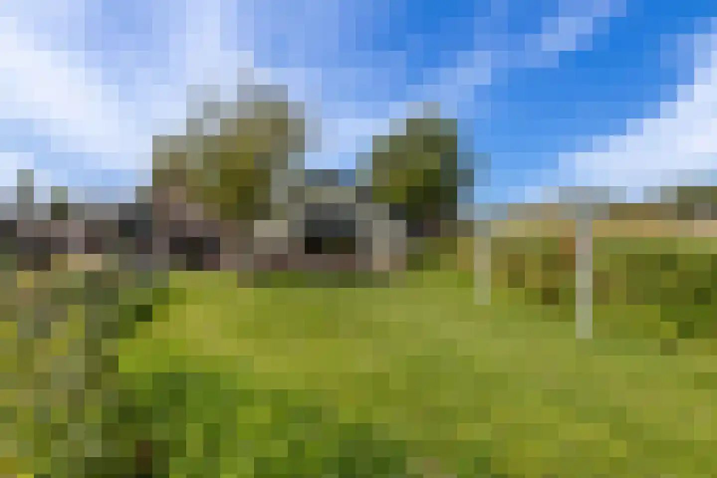 Westdijk 22 Zuidschermer thumbnail 54