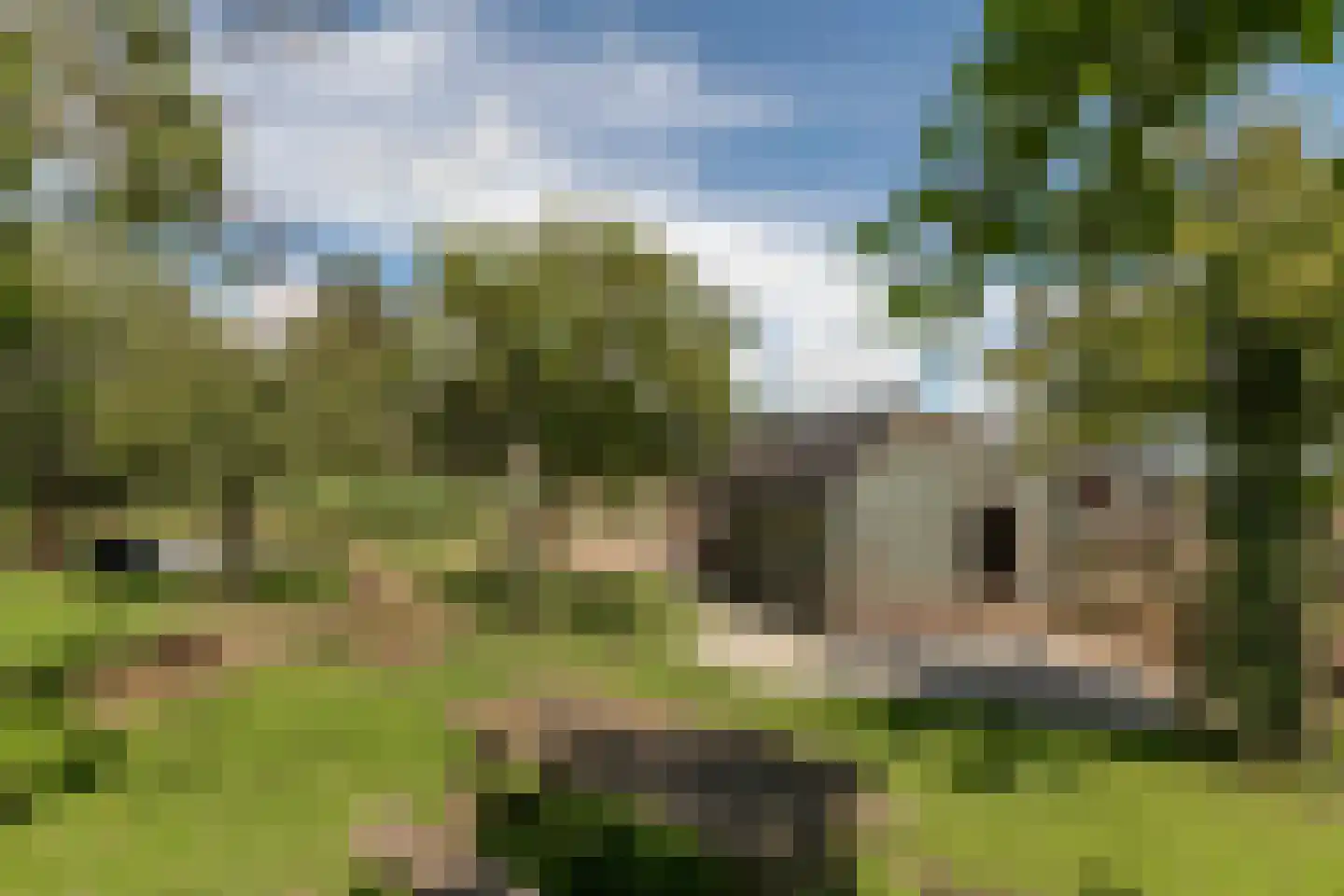 Westdijk 22 Zuidschermer thumbnail 58