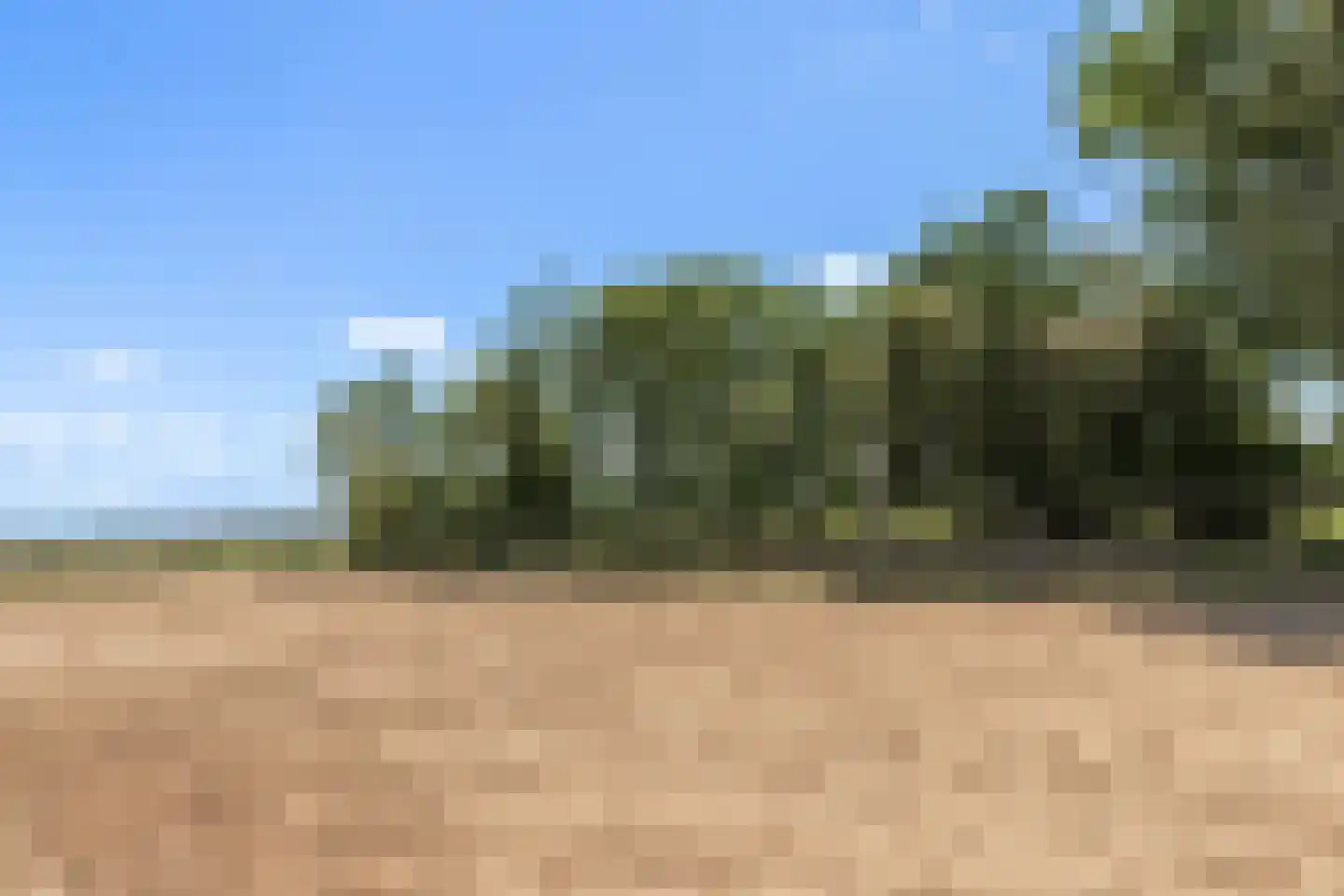 Westdijk 22 Zuidschermer thumbnail 59