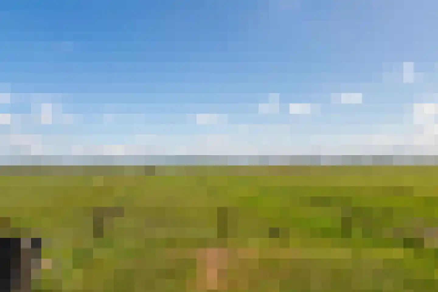 Westdijk 22 Zuidschermer thumbnail 61
