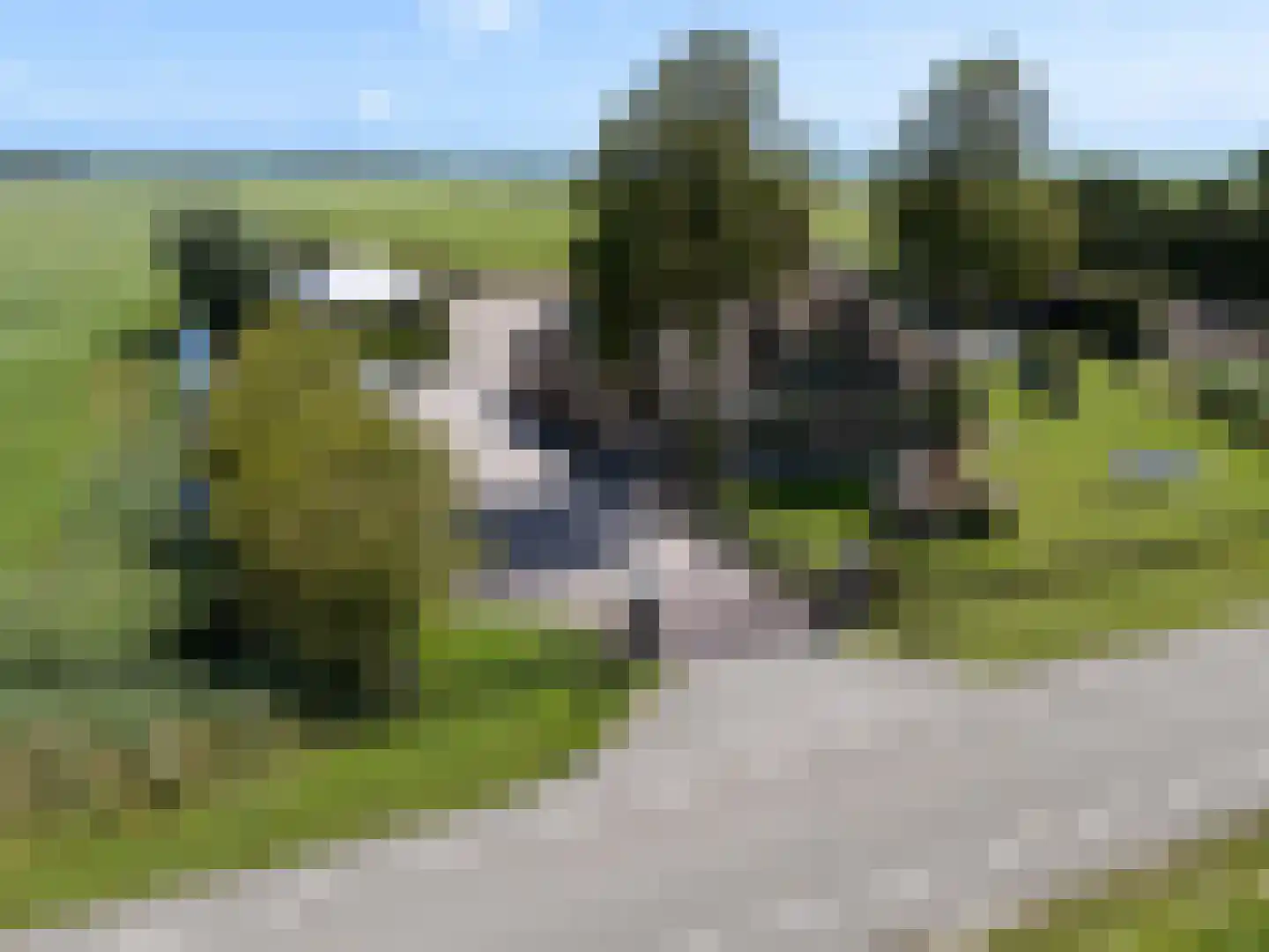 Westdijk 22 Zuidschermer thumbnail 62