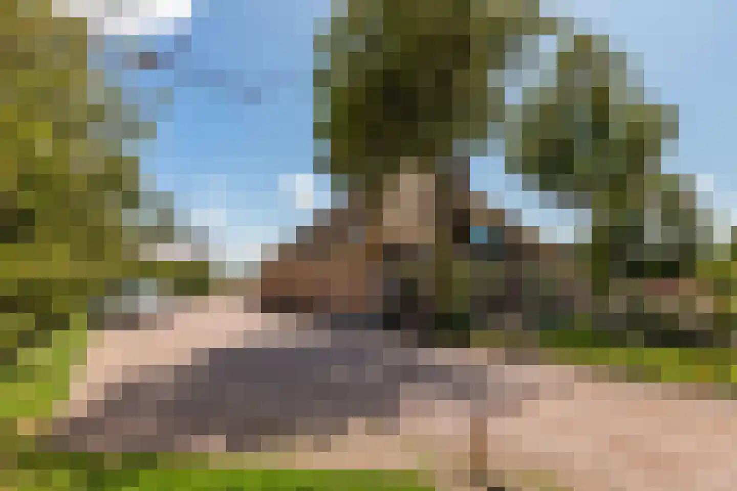Westdijk 22 Zuidschermer thumbnail 63