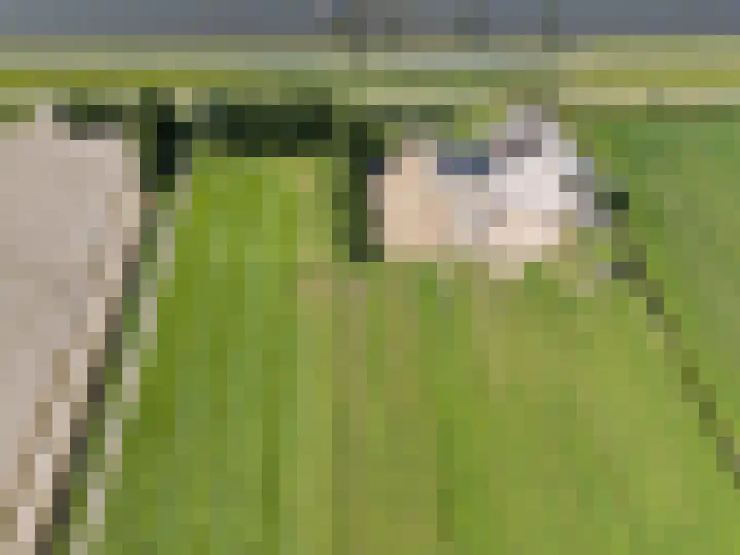 Westdijk 22 Zuidschermer thumbnail 64