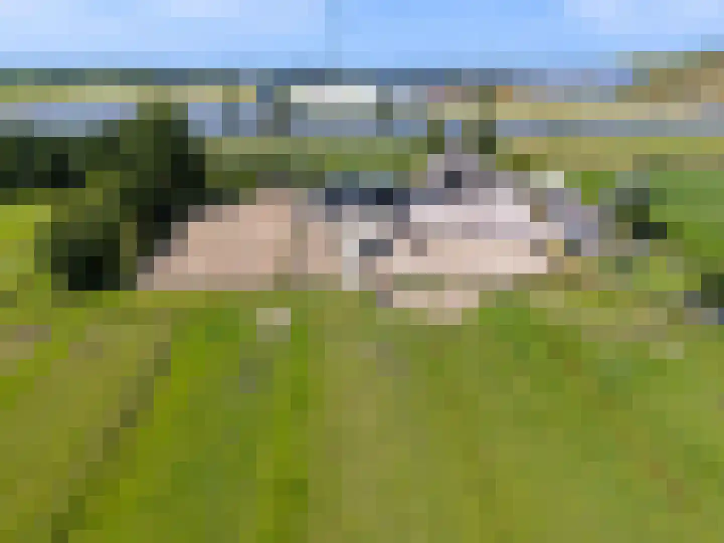 Westdijk 22 Zuidschermer thumbnail 65