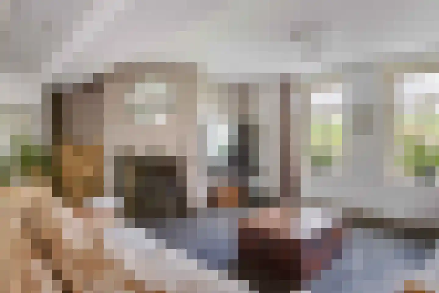 Westdijk 22 Zuidschermer thumbnail 7