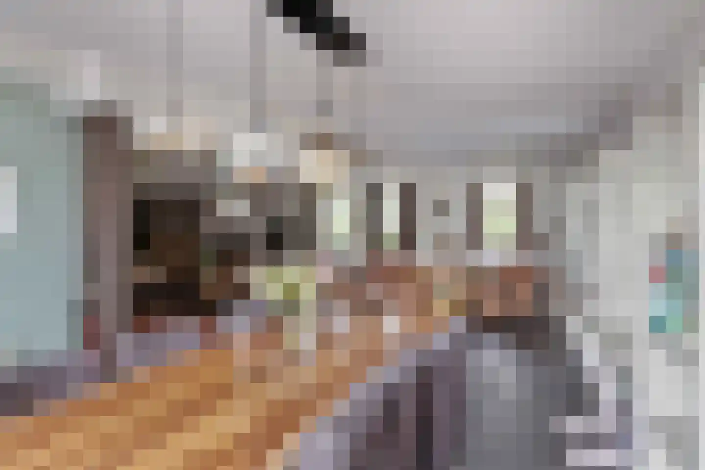 Westdijk 22 Zuidschermer thumbnail 9