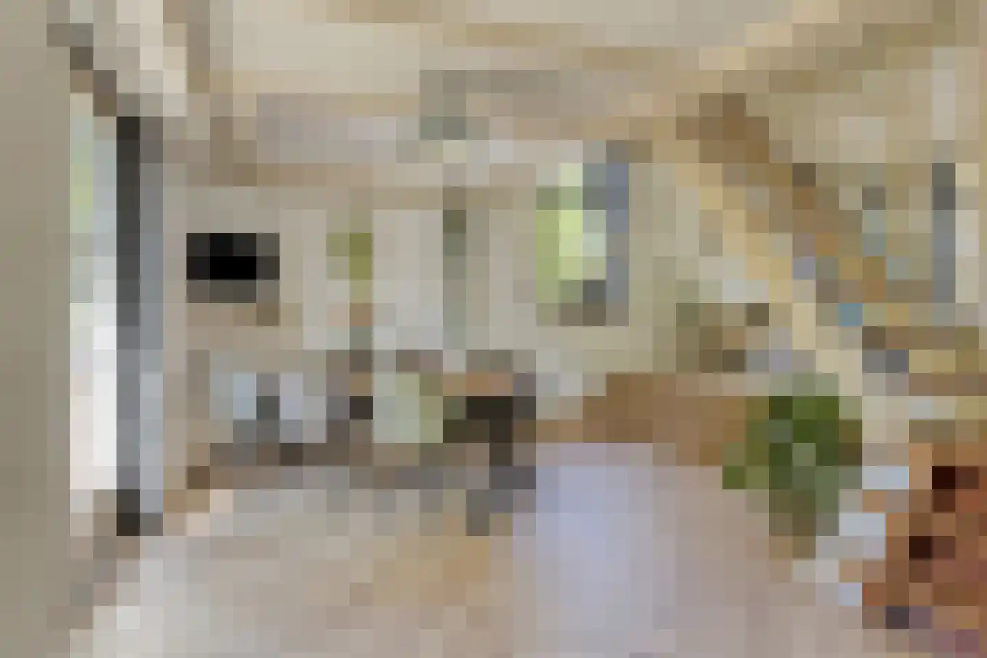 Westdijk 23 Nieuwe-Tonge thumbnail 21