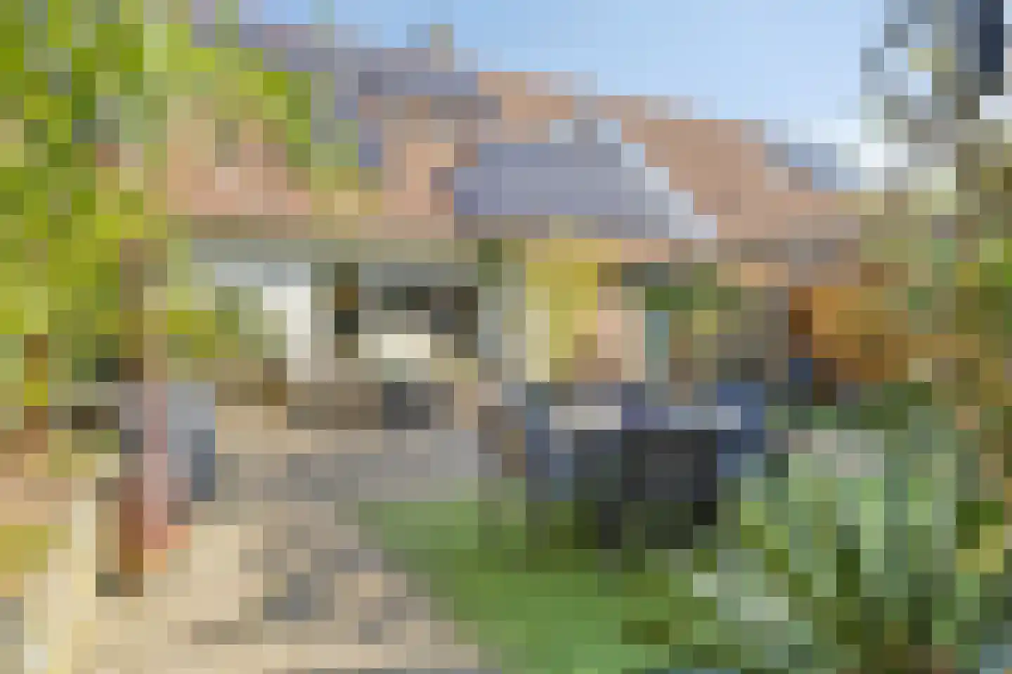 Westdijk 23 Nieuwe-Tonge thumbnail 5
