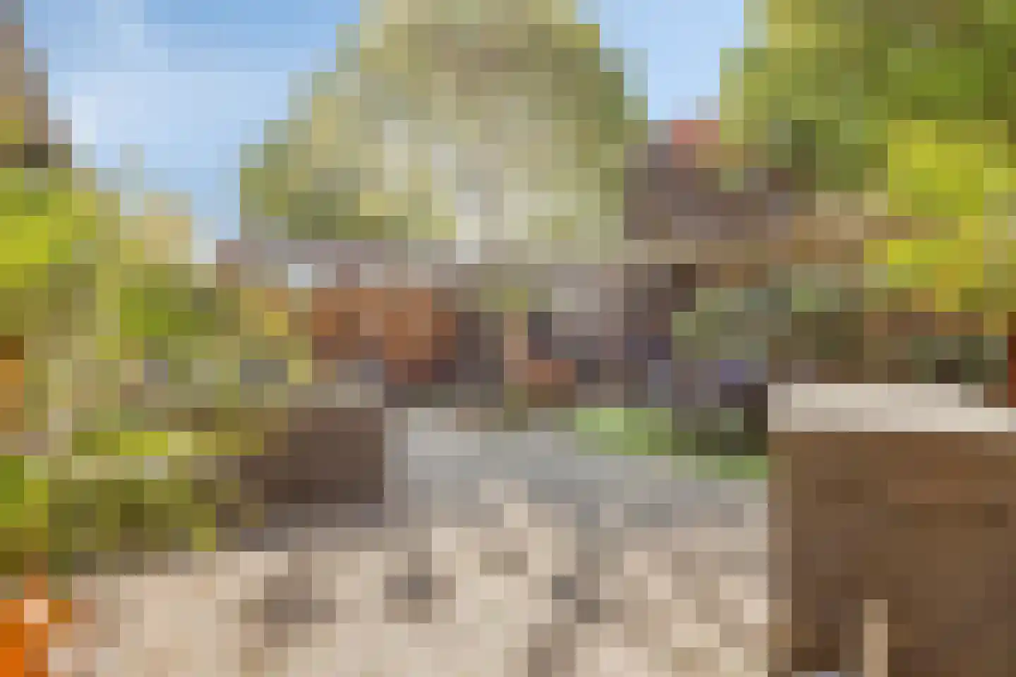 Westdijk 23 Nieuwe-Tonge thumbnail 54