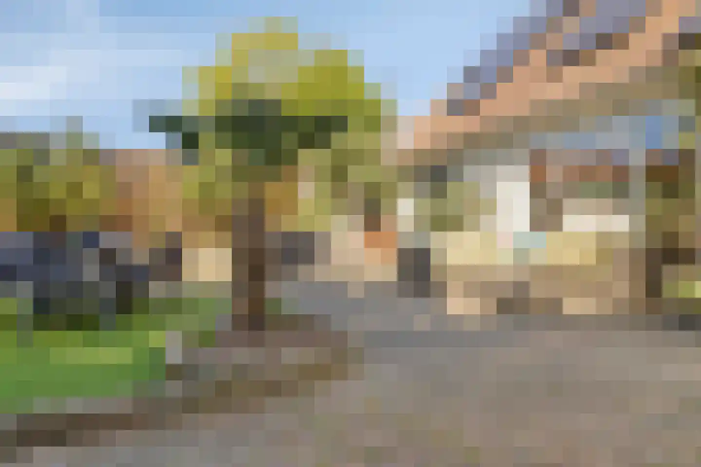 Westdijk 23 Nieuwe-Tonge thumbnail 58