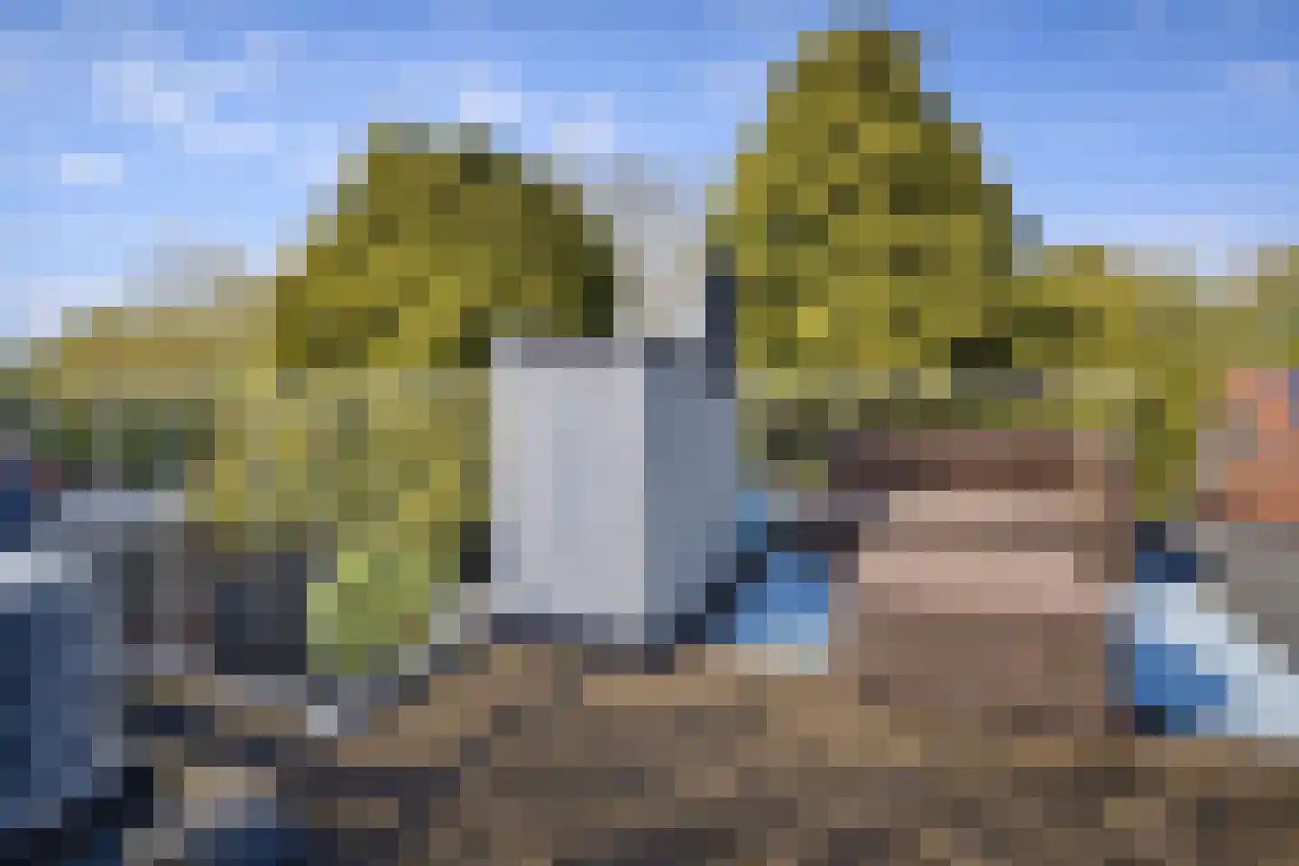 Westdijk 27 Sommelsdijk thumbnail 17