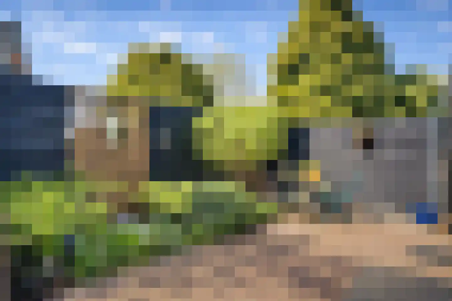 Westdijk 27 Sommelsdijk thumbnail 29