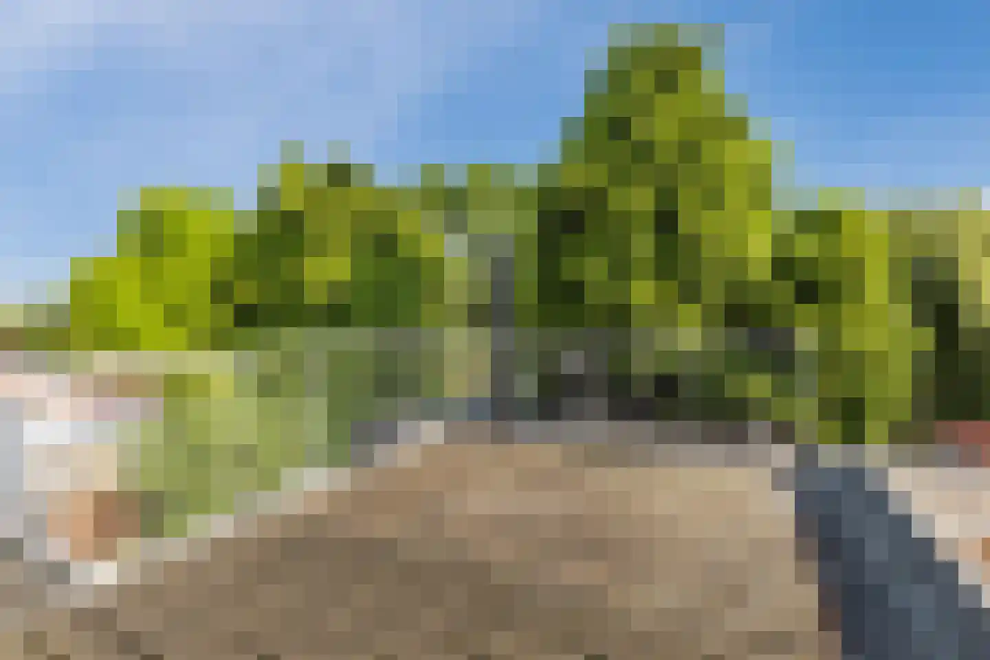 Westdijk 27 Sommelsdijk thumbnail 32