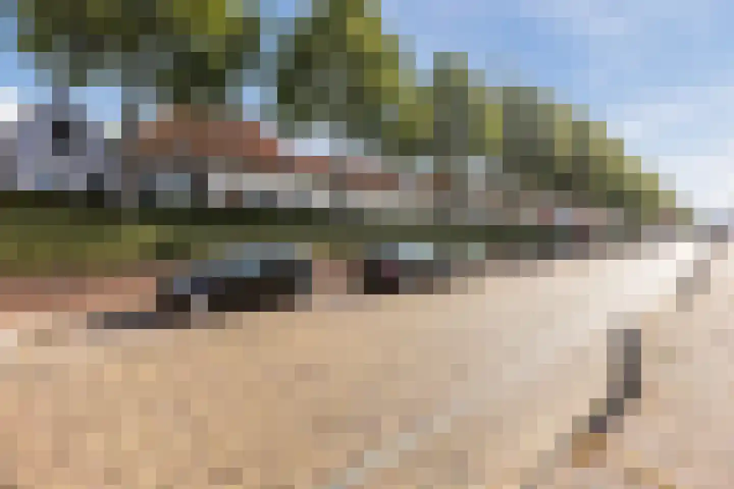 Westdijk 27 Sommelsdijk thumbnail 40