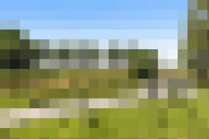 Westdijk 30 b Dirksland thumbnail 38
