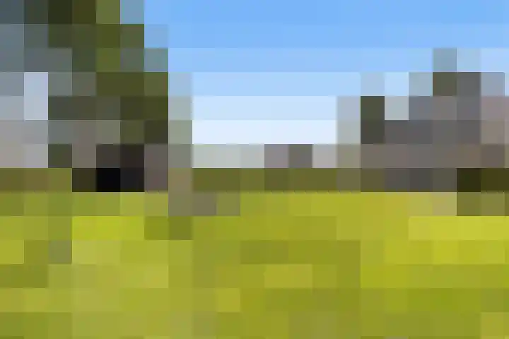Westdijk 30 b Dirksland thumbnail 52