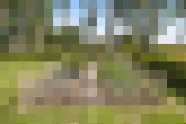 Westdijk 30 b Dirksland thumbnail 53