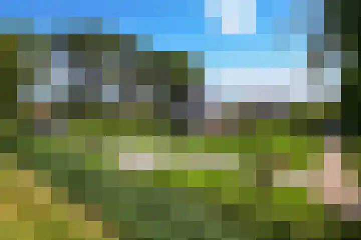 Westdijk 30 b Dirksland thumbnail 66