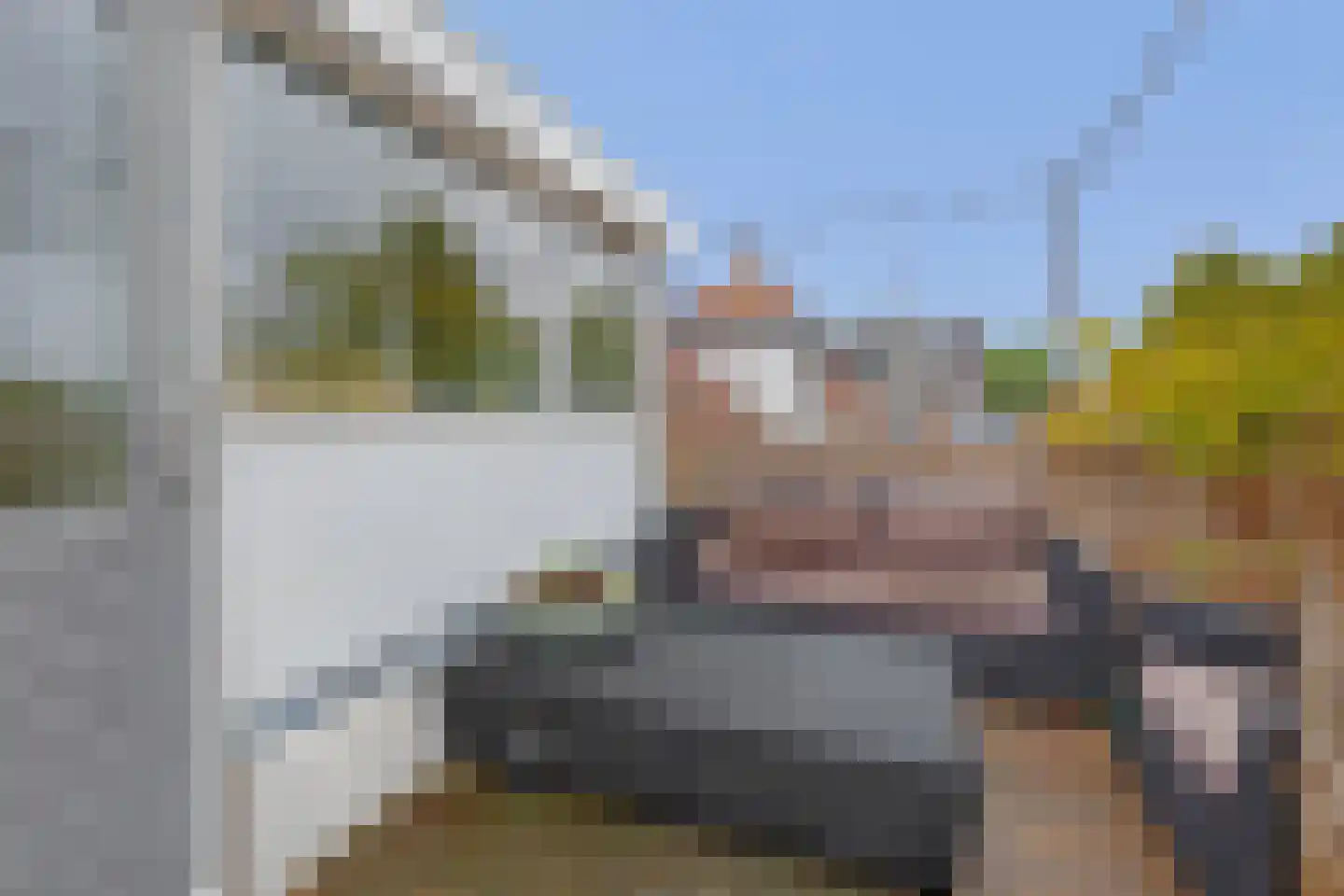 Westdijk 31 Sommelsdijk thumbnail 27