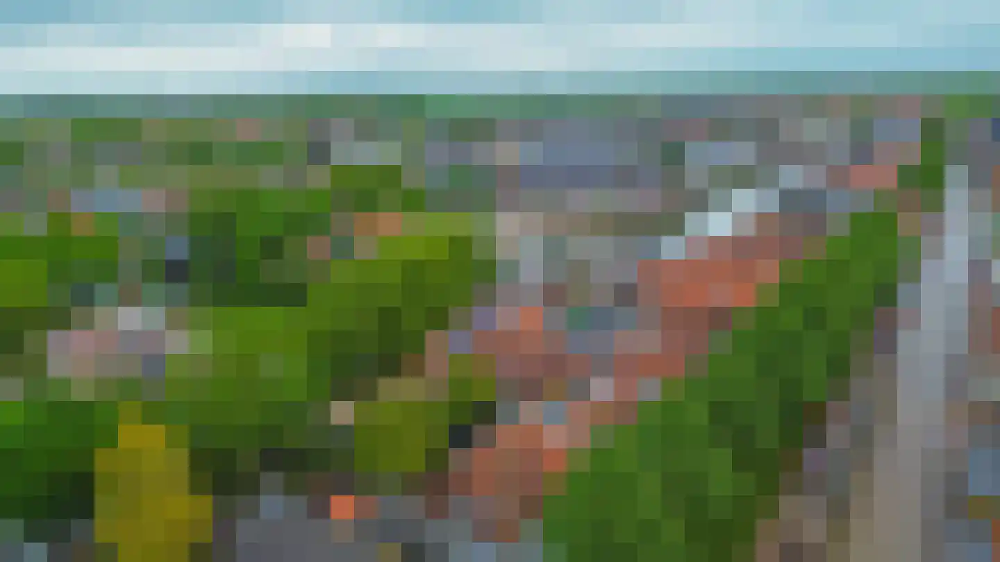 Westdijk 31 Sommelsdijk thumbnail 32