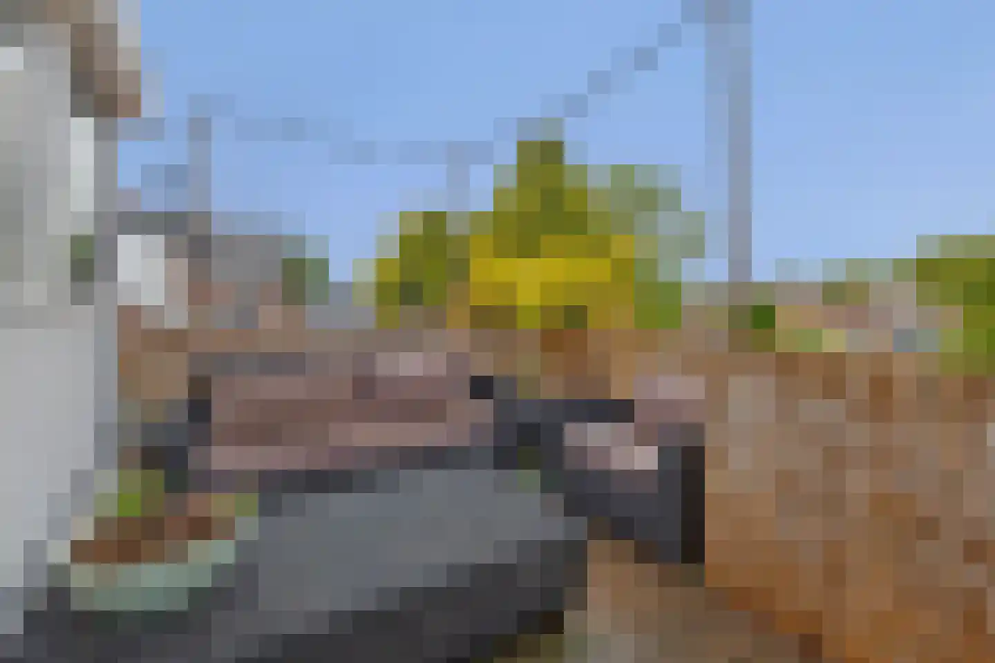 Westdijk 31 Sommelsdijk thumbnail 4