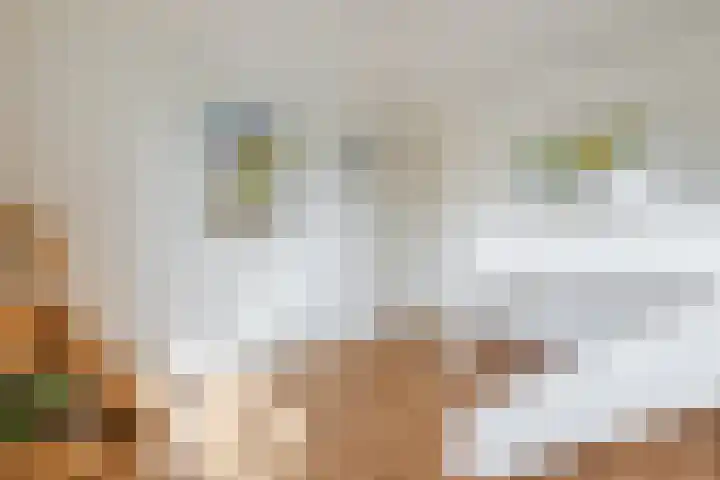 Westdijk 39 Westbeemster thumbnail 10