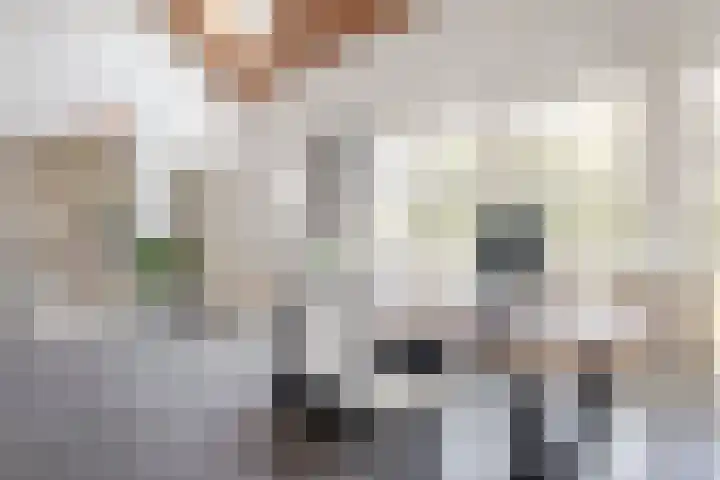 Westdijk 39 Westbeemster thumbnail 15