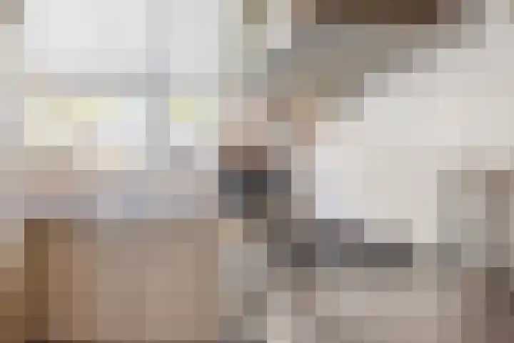 Westdijk 39 Westbeemster foto 2