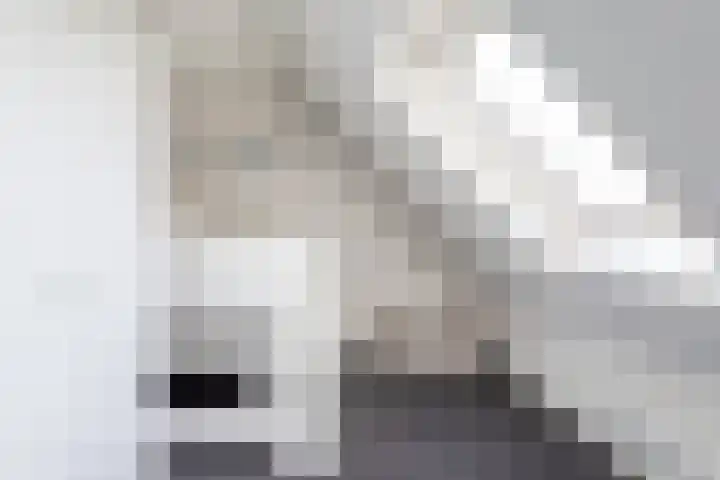 Westdijk 39 Westbeemster thumbnail 21