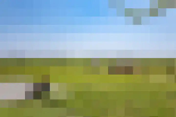 Westdijk 39 Westbeemster thumbnail 26