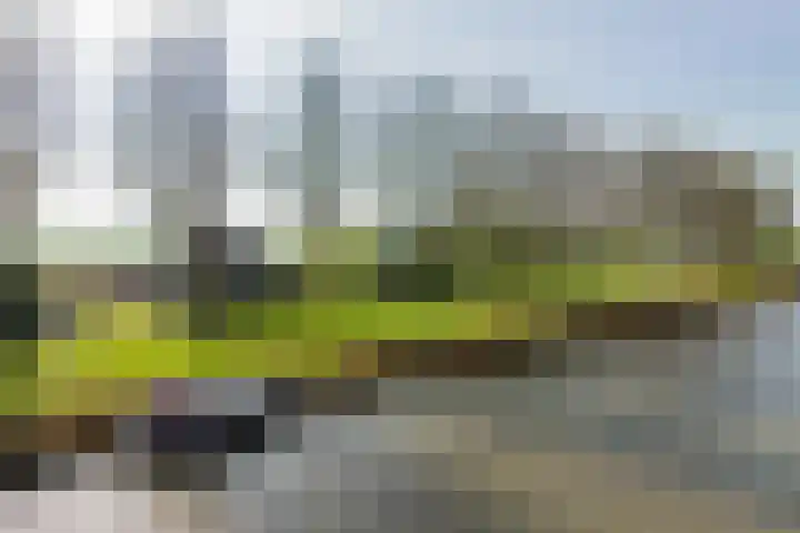 Westdijk 39 Westbeemster thumbnail 34