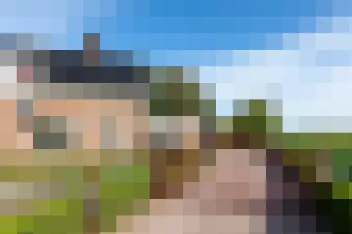 Westdijk 4 Willemstad thumbnail 61