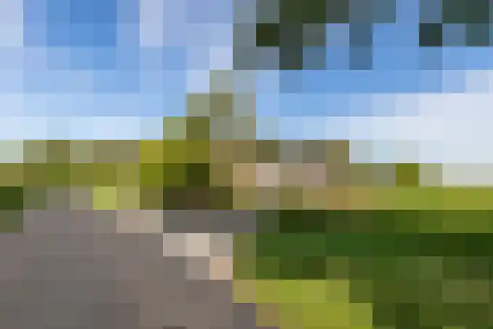 Westdijk 4 Willemstad thumbnail 69