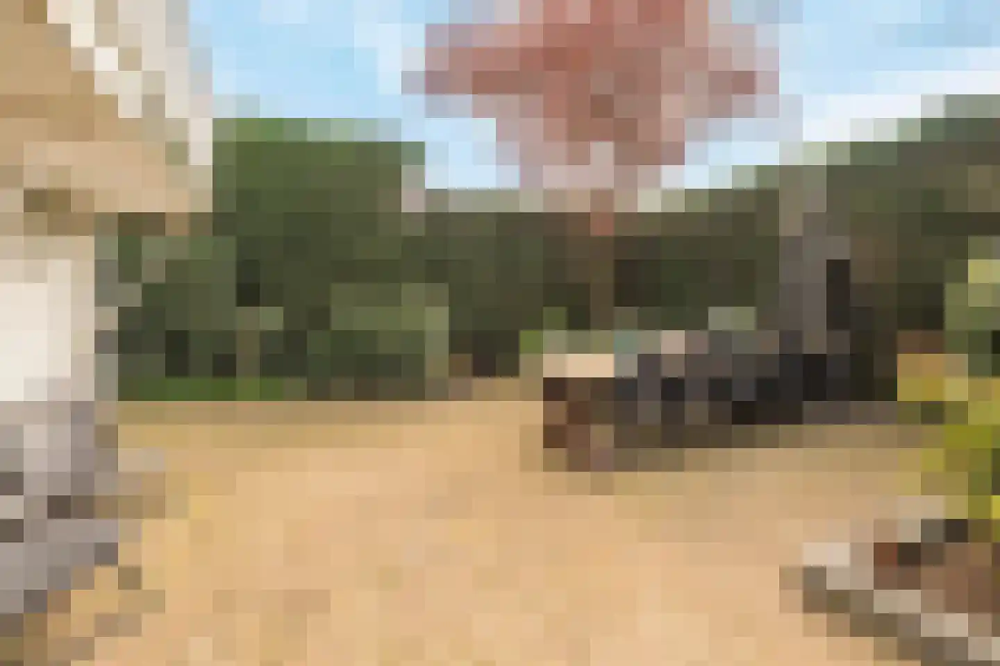 Westdijk 46 Heinenoord thumbnail 67