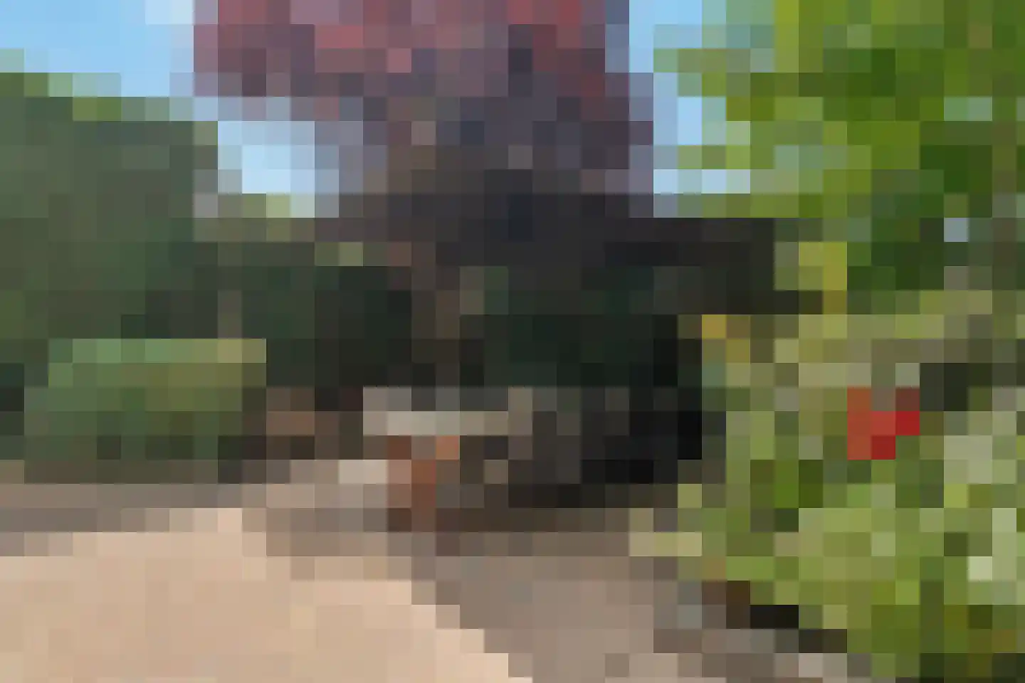 Westdijk 46 Heinenoord thumbnail 73