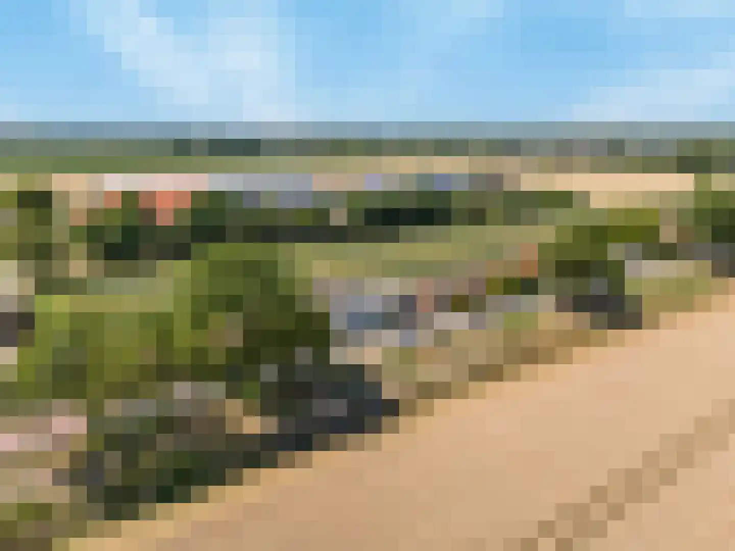 Westdijk 46 Heinenoord thumbnail 86