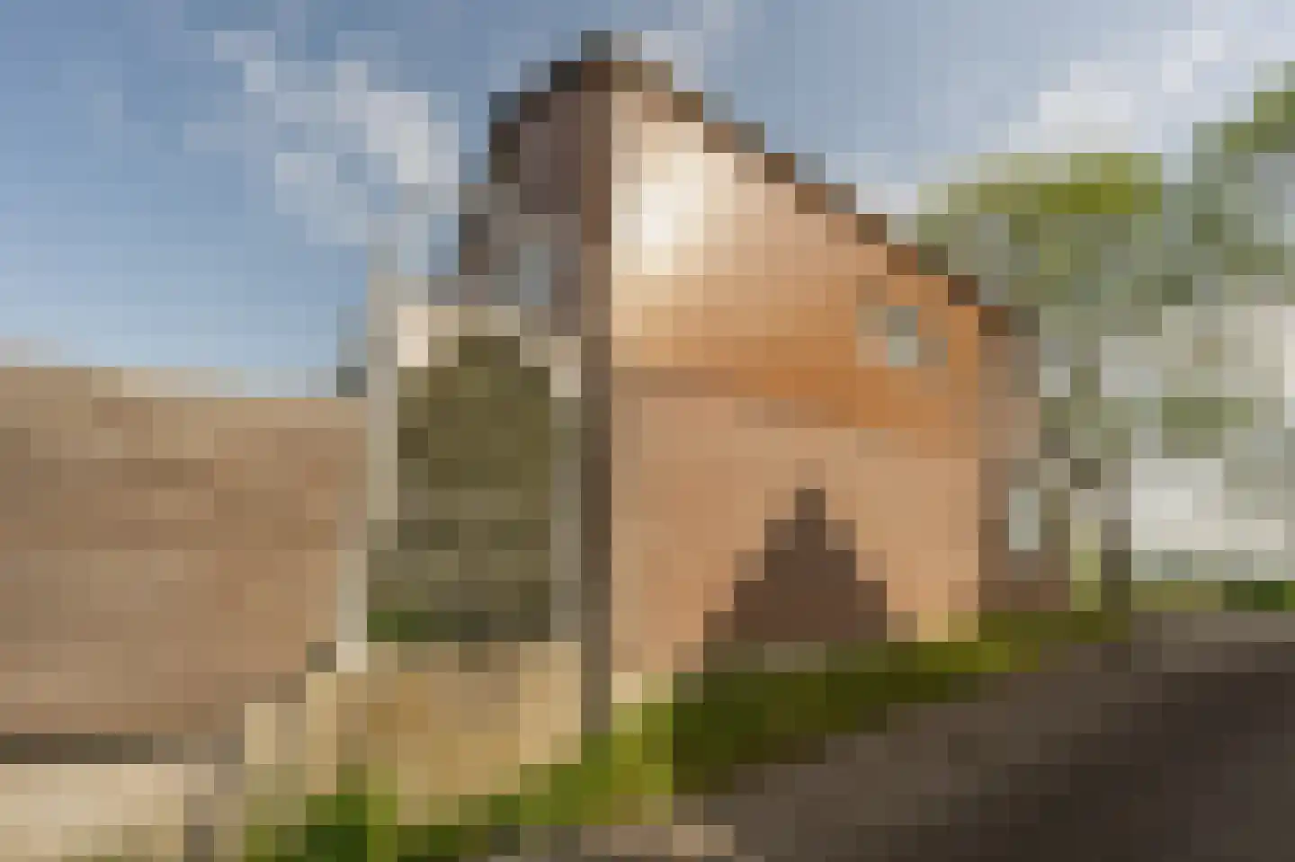 Westdijk 58 Heinenoord thumbnail 41