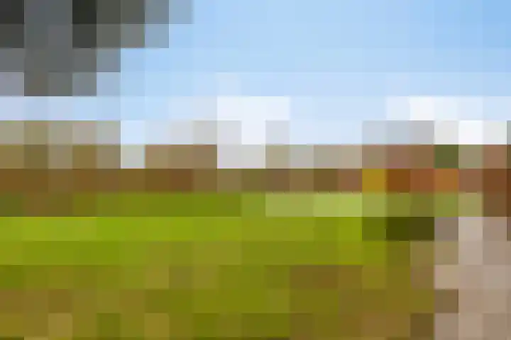 Westdijk 6 Heinkenszand thumbnail 31