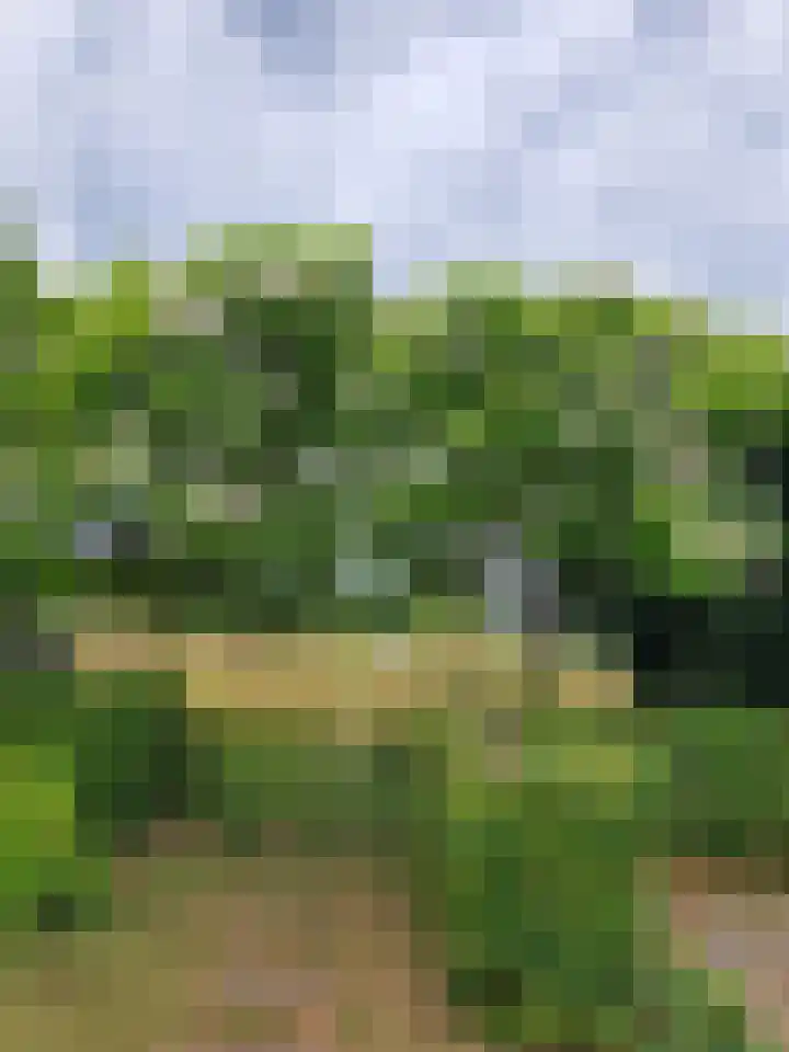 Westdijk 6 Heinkenszand thumbnail 32