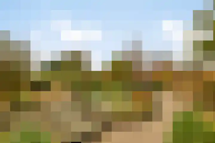 Westdijk 6 Heinkenszand thumbnail 35