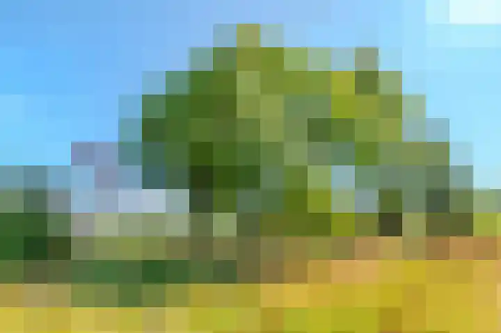 Westdijk 7 Alkmaar thumbnail 27