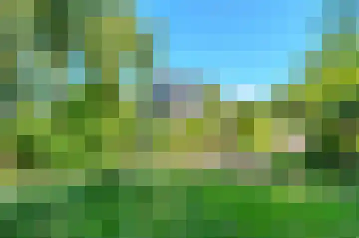 Westdijk 7 Alkmaar thumbnail 33